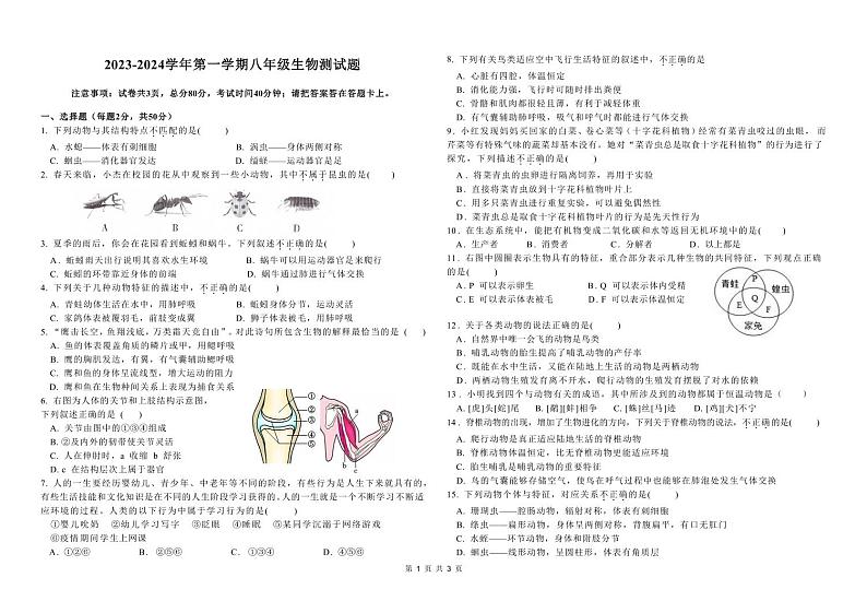 山东省青岛市崂山育才学校2023-2024学年八年级上学期10月生物月考试题第1页