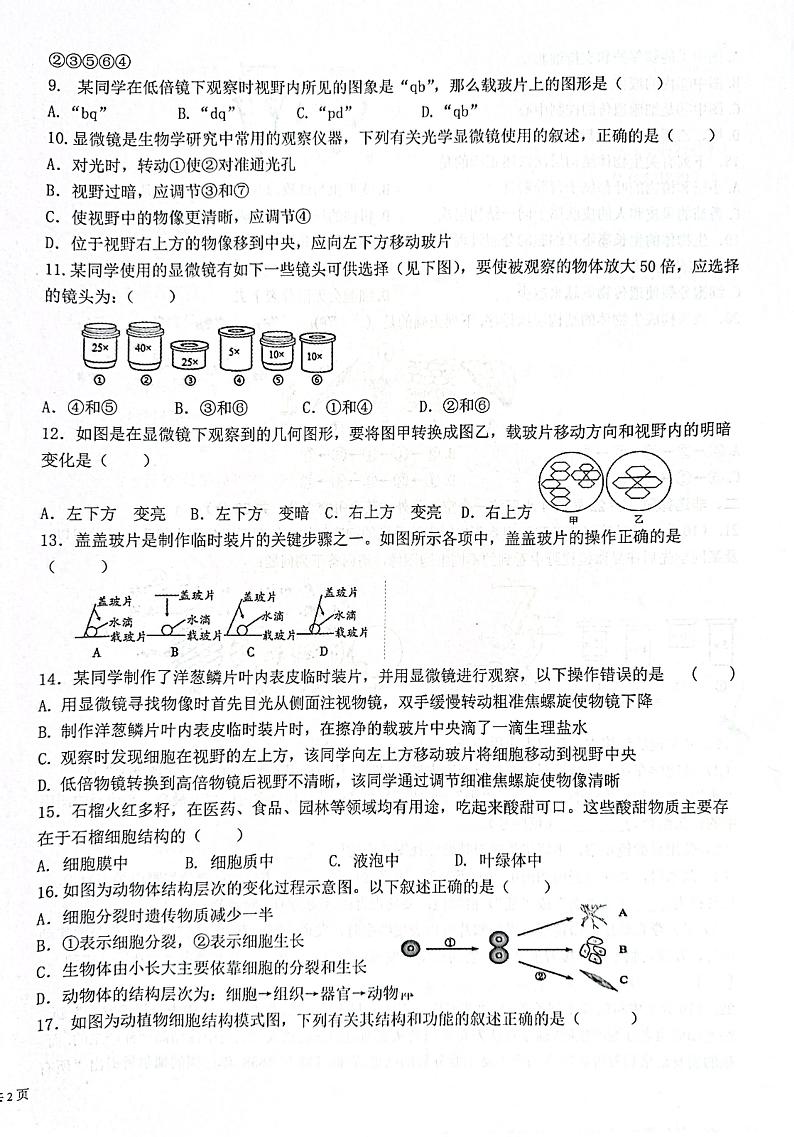 山东省枣庄市市中区乡镇中学2023-2024学年七年级上学期10月月考生物试题第2页