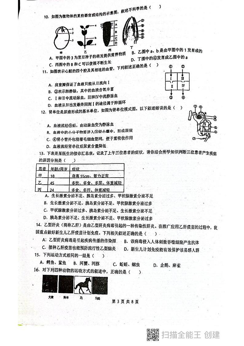 广东省揭阳市惠来县第一中学2023-2024学年八年级上学期10月月考生物试题第3页