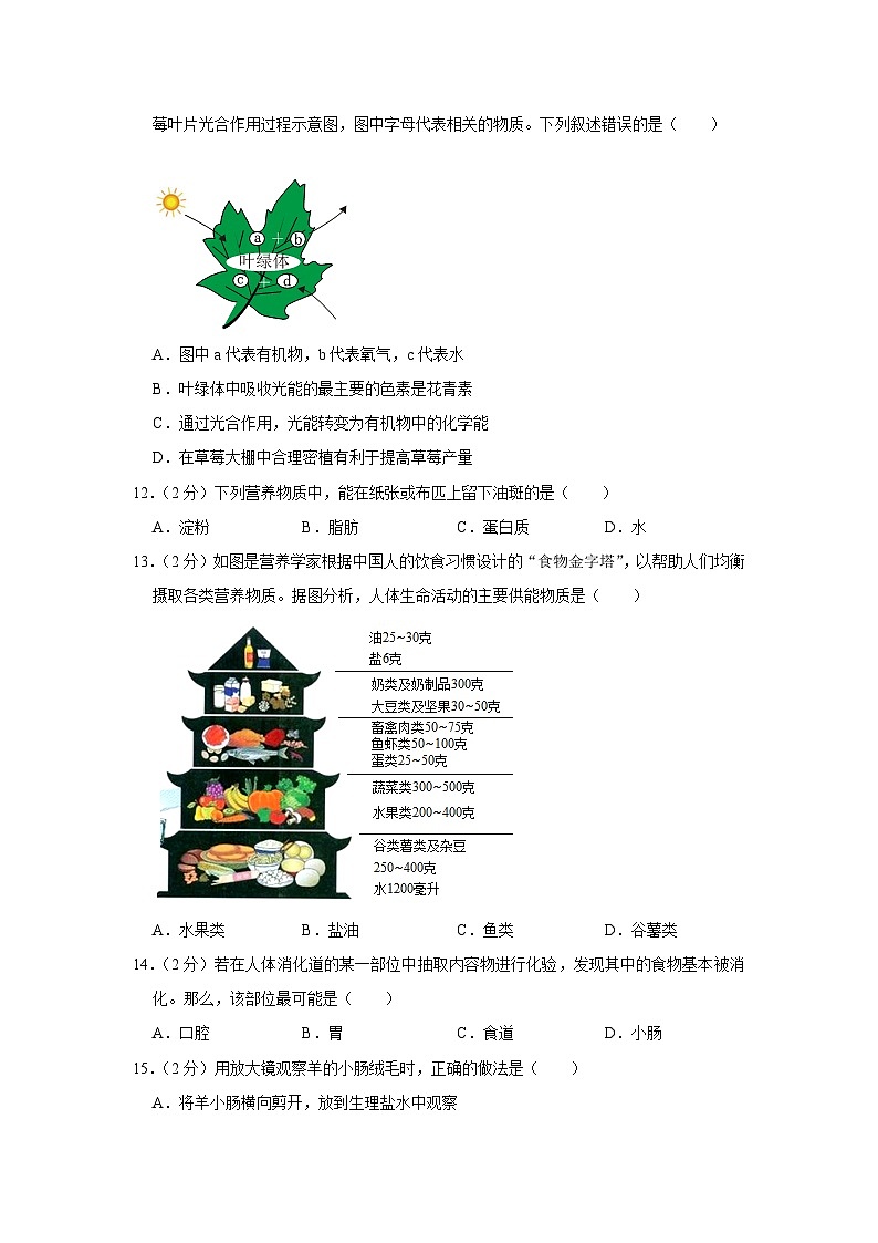 宁夏石嘴山九中2022-2023学年七年级上学期期末生物试卷第3页