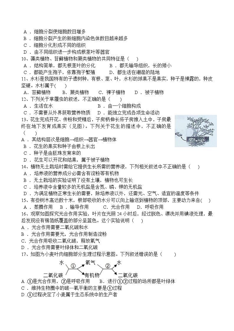 河南省许昌市建安区2022-2023七年级上期生物期末试卷第2页