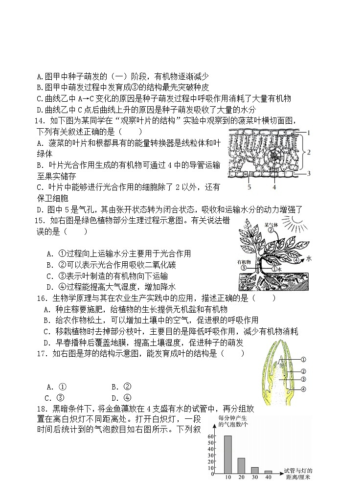 河南郑州市外国语中学-2022-2023学年七上生物期末试卷第3页