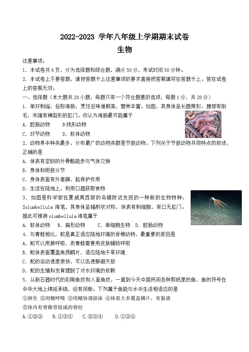 河南省信陽(yáng)市浉河區(qū)2022-2023上期八年級(jí)生物期末試卷附答案第1頁(yè)