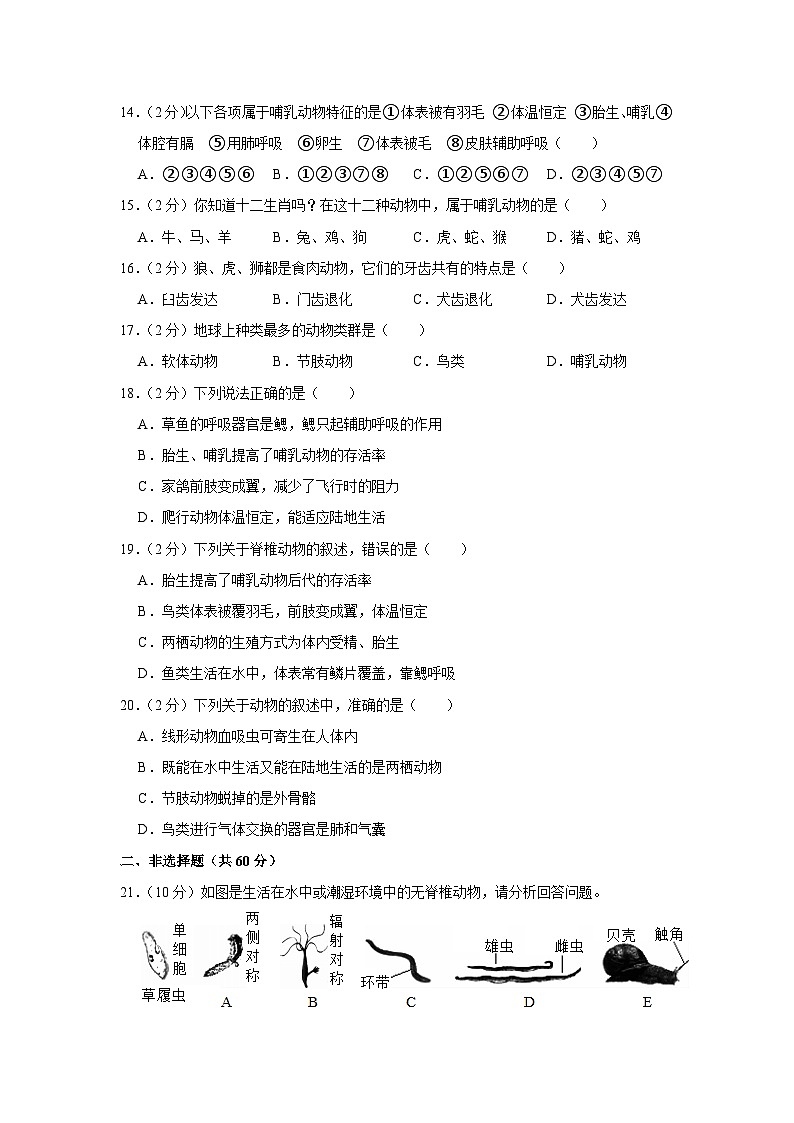 河南省信阳市罗山县第一中学2023-2024学年八年级上学期月考生物试卷(9月份)第3页