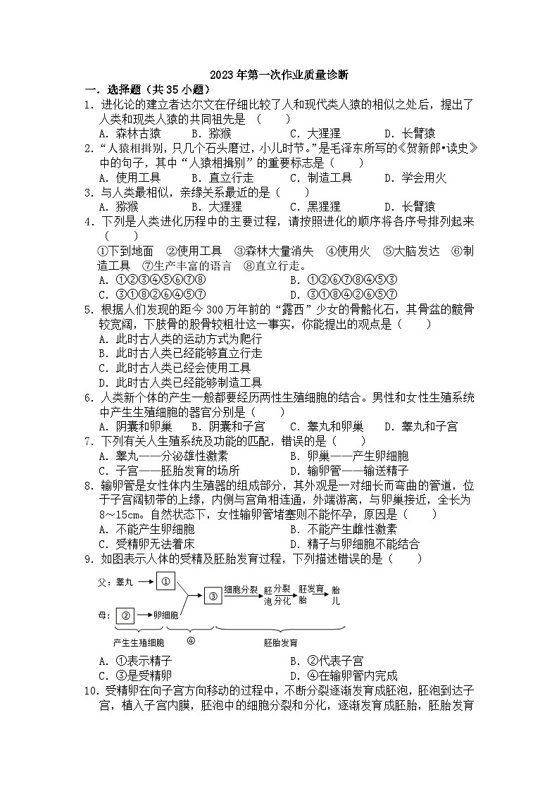山东省泰安市新泰市青云中学2023-2024学年七年级上学期10月月考生物试题第1页