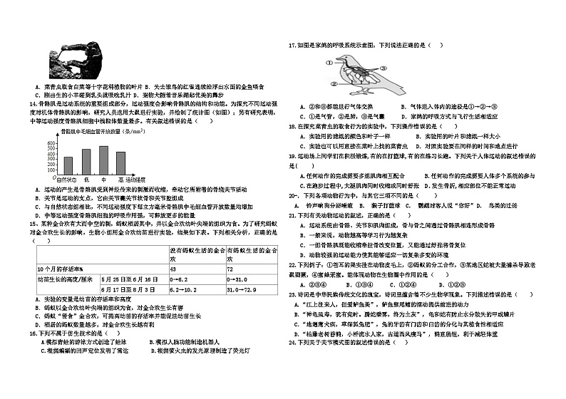 山东省东营市广饶县乐安中学2023-2024学年10月月考试卷-八年级生物02