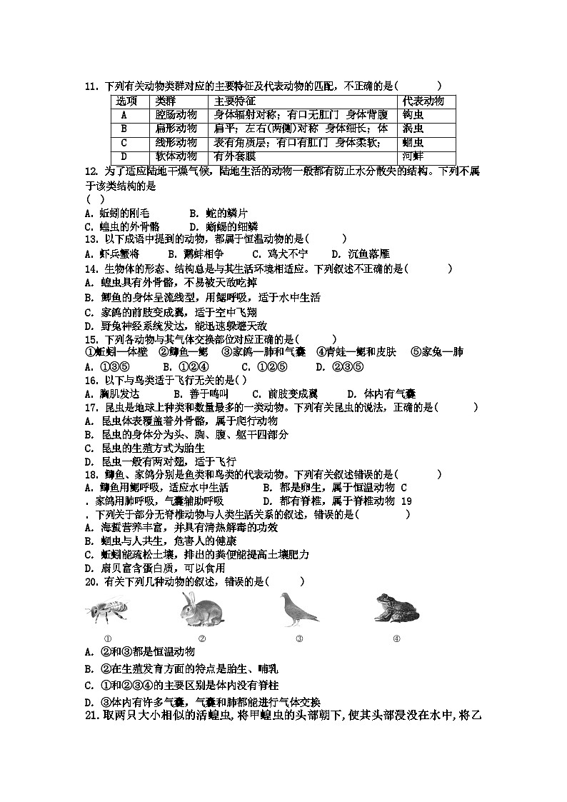 湖北省黄石市阳新县木港镇东春初级中学2023-2024学年八年级上学期10月月考生物试题第2页