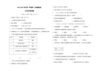 山东省东营市广饶县乐安中学2023-2024学年10月月考试卷-六年级（生物）