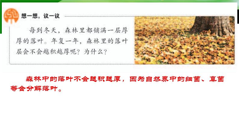 第四章第四节《细菌和真菌在自然界中的作用》课件人教版生物八年级上册第1页