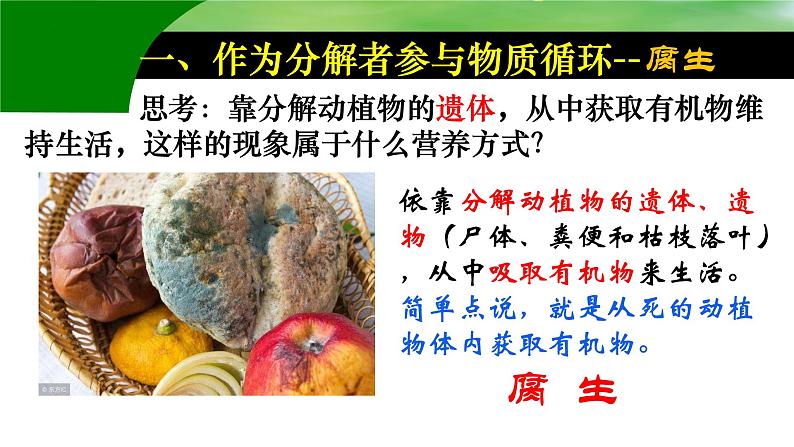 第四章第四节《细菌和真菌在自然界中的作用》课件人教版生物八年级上册第7页