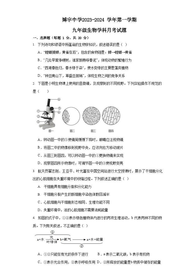 山东省菏泽市曹县博宇中学2023-2024学年九年级上学期10月月考生物试题01