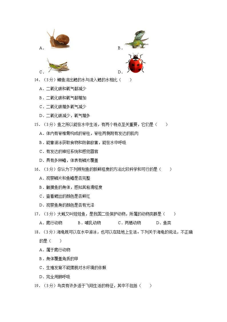 山西省太原市第三十七中学2023-2024学年八年级上学期月考生物试卷(10月份)第3页