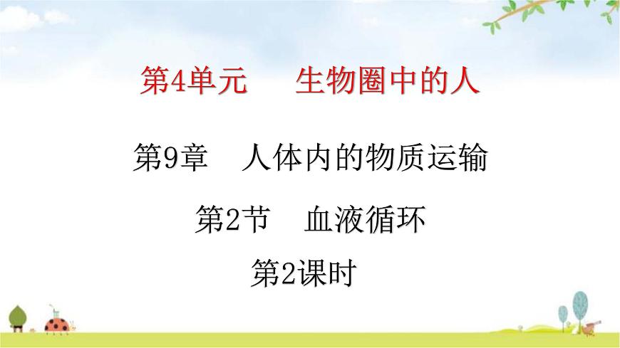 北師大版七年級生物下冊第9章人體內(nèi)的物質(zhì)運(yùn)輸?shù)?節(jié)血液循環(huán)第2課時(shí)練習(xí)課件第1頁