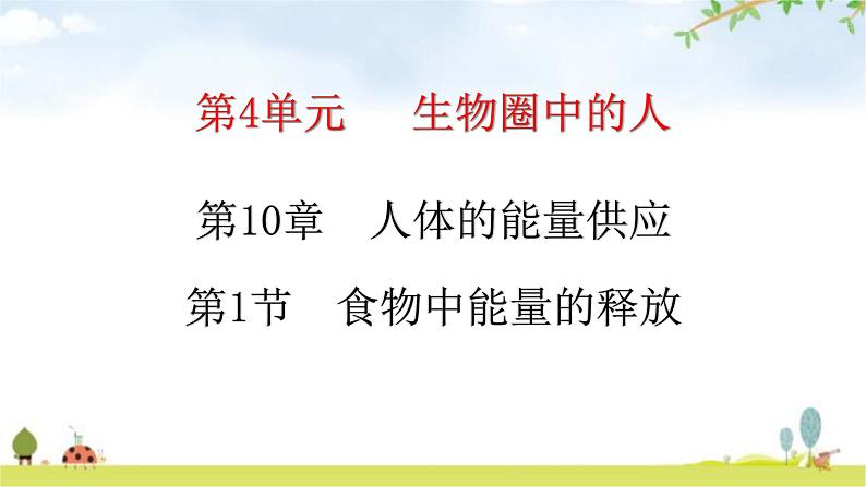 北师大版七年级生物下册第10章人体的能量供应第1节食物中能量的释放练习课件第1页