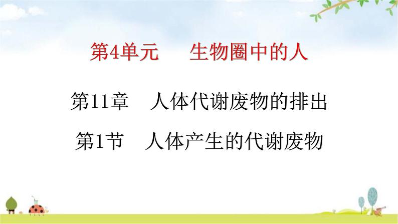 北师大版七年级生物下册第11章人体代谢废物的排出第1节人体产生的代谢废物练习课件01