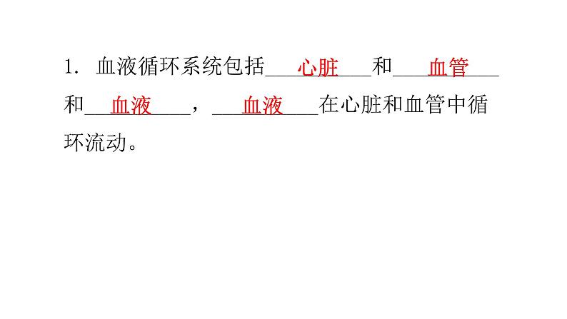 北师大版七年级生物下册基础知识填空题第9章人体内的物质运输课件第2页