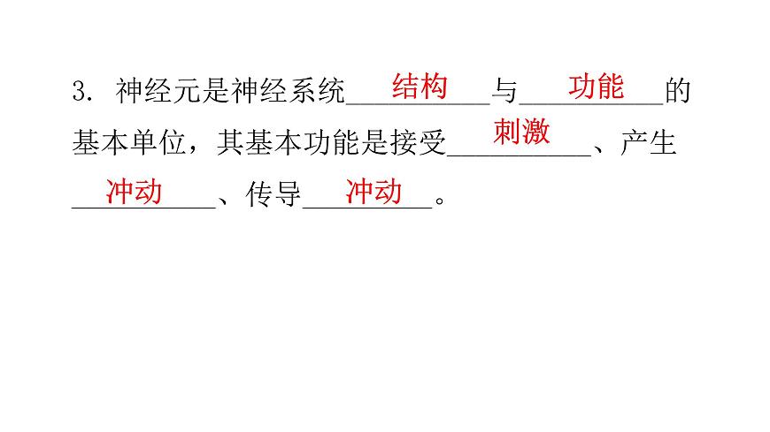 北師大版七年級(jí)生物下冊(cè)基礎(chǔ)知識(shí)填空題第12章人體的自我調(diào)節(jié)課件第4頁