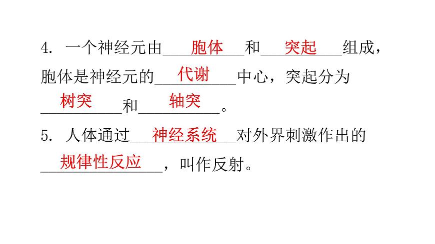 北師大版七年級(jí)生物下冊(cè)基礎(chǔ)知識(shí)填空題第12章人體的自我調(diào)節(jié)課件第5頁