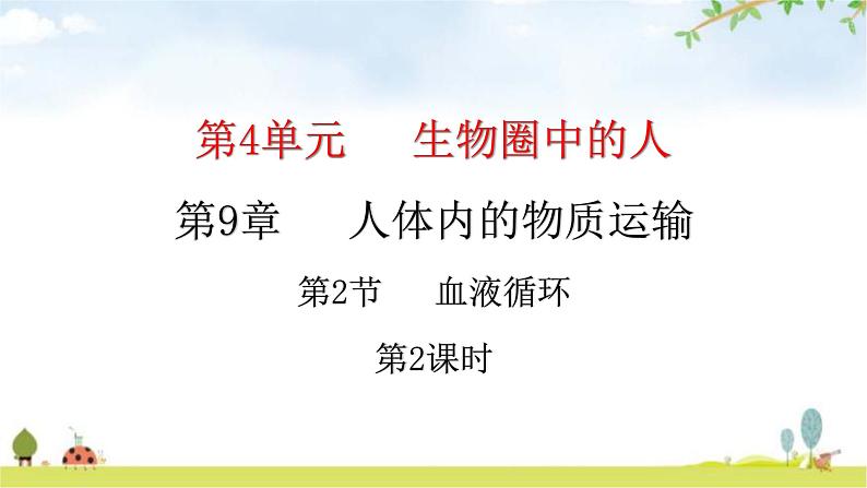 北师大版七年级生物下册第9章人体内的物质运输第2节血液循环第2课时课件第1页