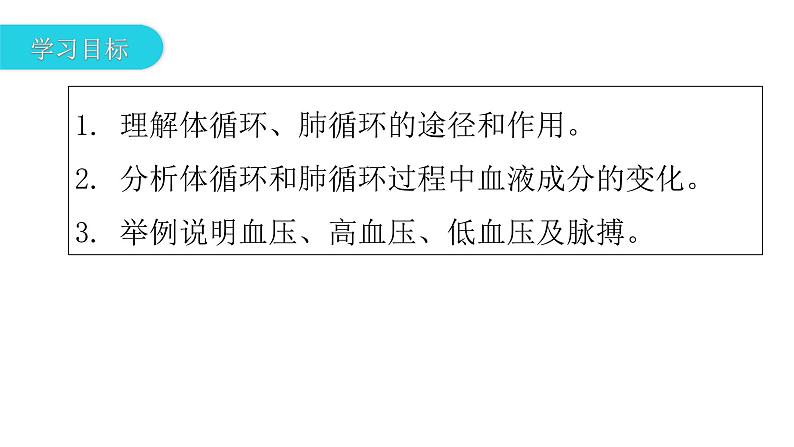 北师大版七年级生物下册第9章人体内的物质运输第2节血液循环第2课时课件第3页