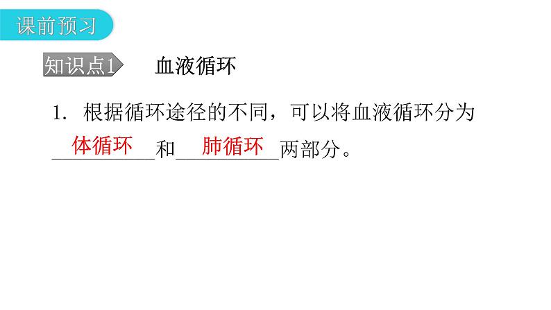 北师大版七年级生物下册第9章人体内的物质运输第2节血液循环第2课时课件第4页