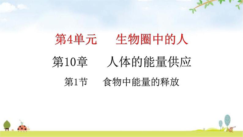 北师大版七年级生物下册第10章人体的能量供应第1节食物中能量的释放课件01