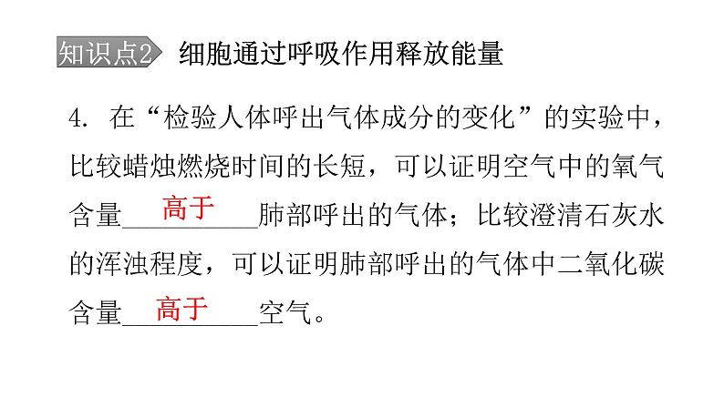 北师大版七年级生物下册第10章人体的能量供应第1节食物中能量的释放课件07