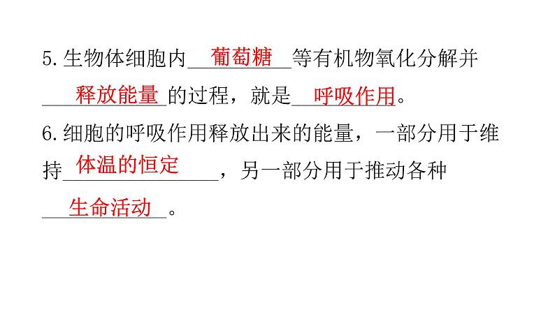 北师大版七年级生物下册第10章人体的能量供应第1节食物中能量的释放课件08