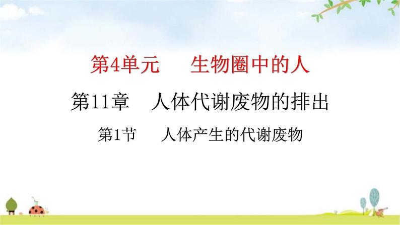北师大版七年级生物下册第11章人体代谢废物的排出第1节人体产生的代谢废物课件01