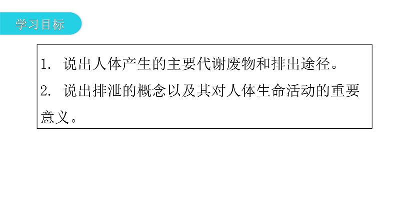 北师大版七年级生物下册第11章人体代谢废物的排出第1节人体产生的代谢废物课件03