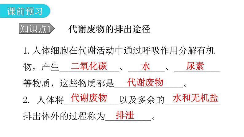 北师大版七年级生物下册第11章人体代谢废物的排出第1节人体产生的代谢废物课件04