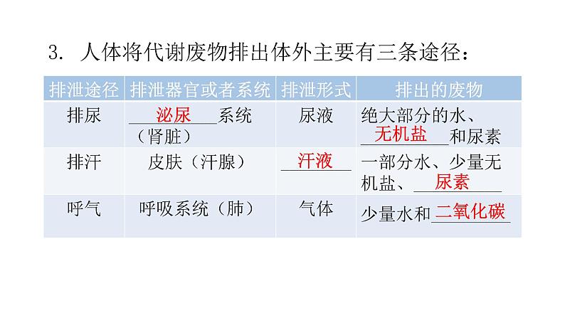 北师大版七年级生物下册第11章人体代谢废物的排出第1节人体产生的代谢废物课件05
