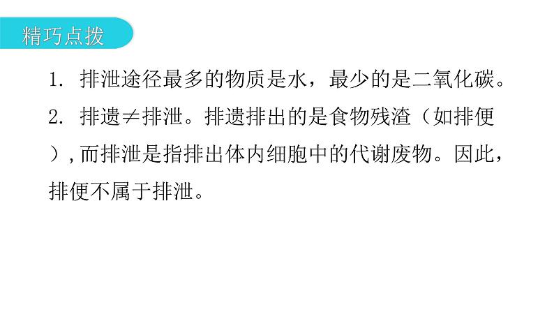 北师大版七年级生物下册第11章人体代谢废物的排出第1节人体产生的代谢废物课件07