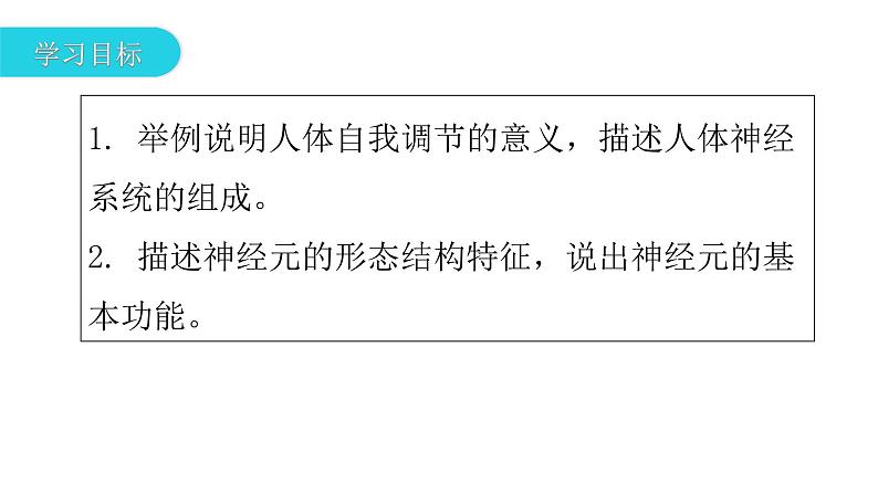北师大版七年级生物下册第12章人体的自我调节第1节神经系统与神经调节第1课时课件03