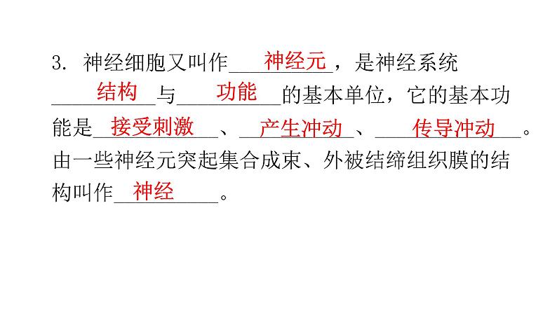 北师大版七年级生物下册第12章人体的自我调节第1节神经系统与神经调节第1课时课件07