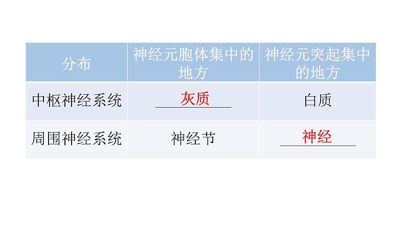 北师大版七年级生物下册第12章人体的自我调节第1节神经系统与神经调节第1课时课件08