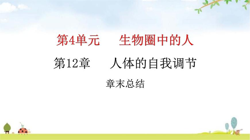 北師大版七年級生物下冊第12章人體的自我調(diào)節(jié)章末總結(jié)課件第1頁