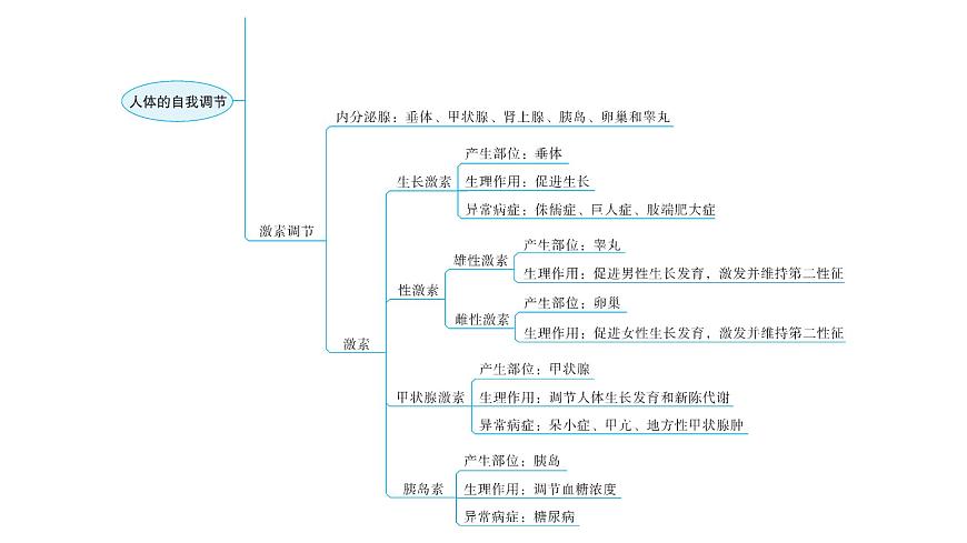 北師大版七年級生物下冊第12章人體的自我調(diào)節(jié)章末總結(jié)課件第4頁