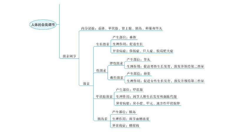 北师大版七年级生物下册第12章人体的自我调节章末总结课件第4页