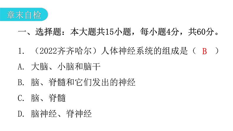 北师大版七年级生物下册第12章人体的自我调节章末总结课件第5页