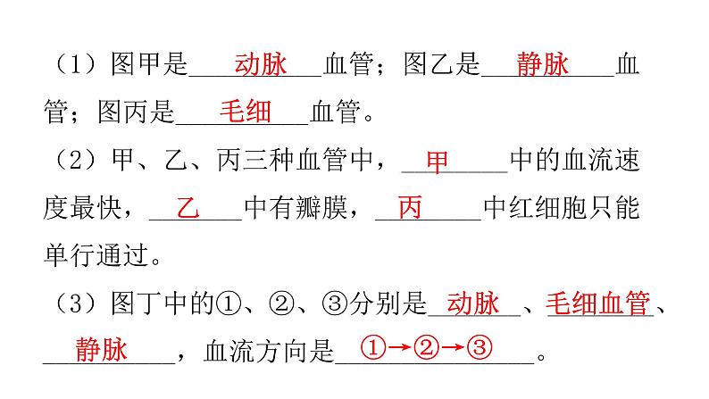 北师大版七年级生物下册第九章人体内的物质运输课件第5页