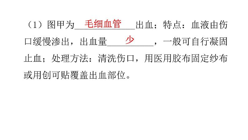 北师大版七年级生物下册第九章人体内的物质运输课件第7页