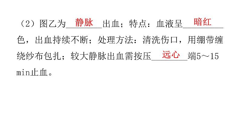 北师大版七年级生物下册第九章人体内的物质运输课件第8页