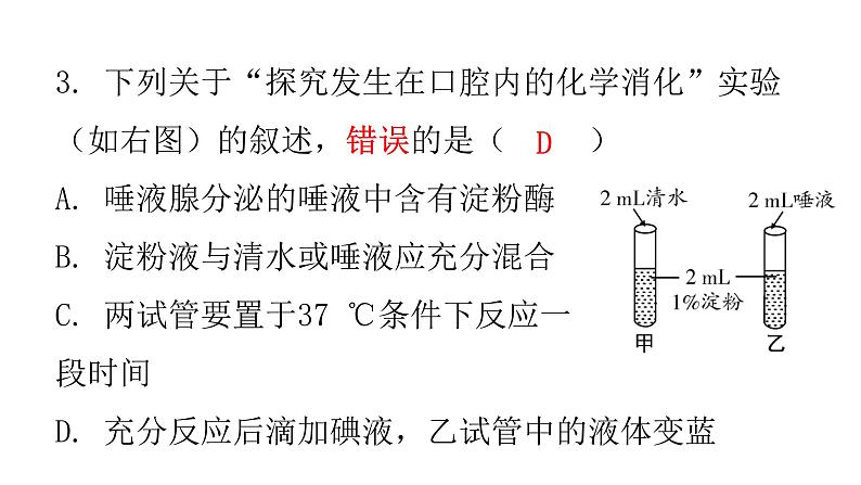 北师大版七年级生物下册期末过关训练课件05