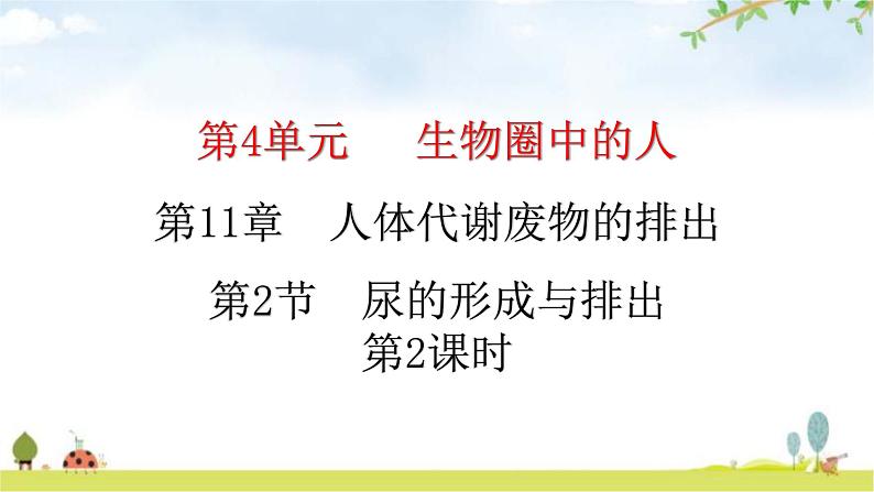 北师大版七年级生物下册第11章人体代谢废物的排出第3节皮肤与汗液分泌课件01