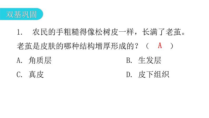 北师大版七年级生物下册第11章人体代谢废物的排出第3节皮肤与汗液分泌课件03