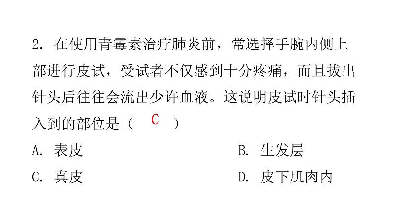 北师大版七年级生物下册第11章人体代谢废物的排出第3节皮肤与汗液分泌课件04