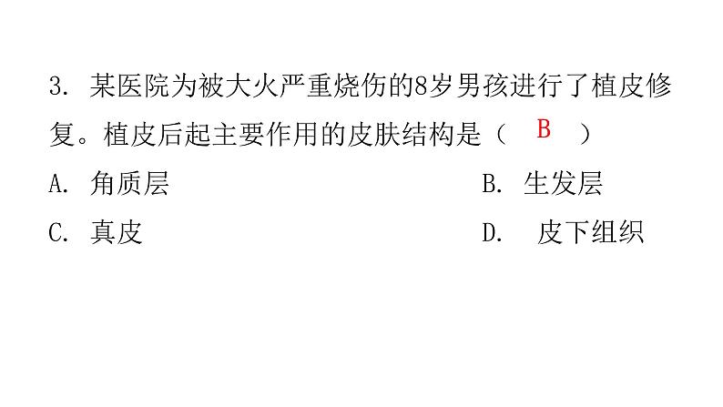 北师大版七年级生物下册第11章人体代谢废物的排出第3节皮肤与汗液分泌课件05