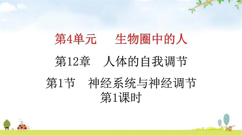 北师大版七年级生物下册第12章人体的自我调节第1节神经系统与神经调节第1课时课件第1页