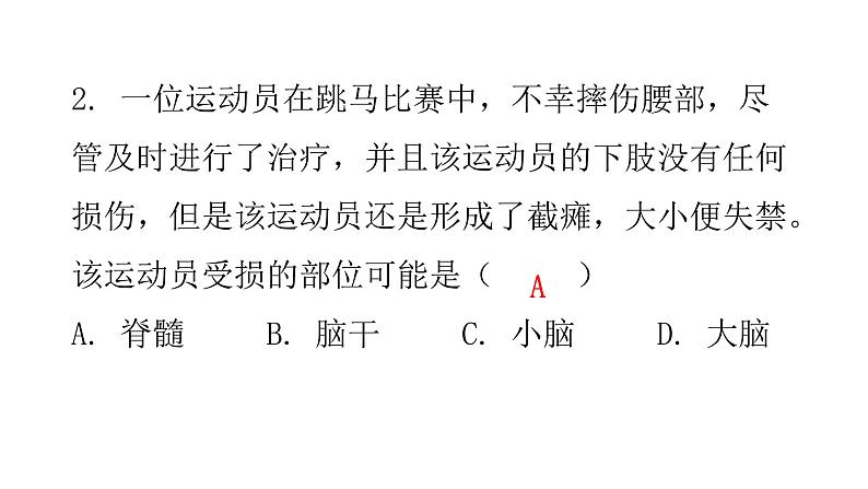 北师大版七年级生物下册第12章人体的自我调节第1节神经系统与神经调节第1课时课件第4页
